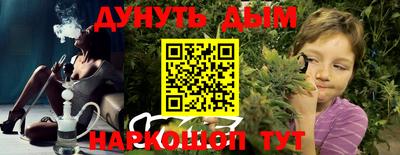 гидра Кингисепп