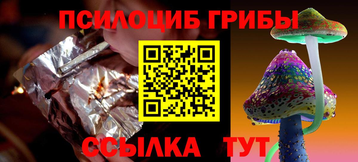 Юрга  купить наркотик  Галлюциногенные грибы Psilocybe  Вход с VPN  Псилоцибиновые грибы мицелий 